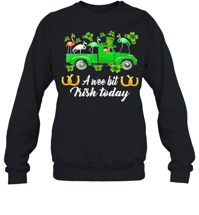 Flamingos Car St Patrick’s Day a wee bit Irish today shirt Unisex Sweatshirt