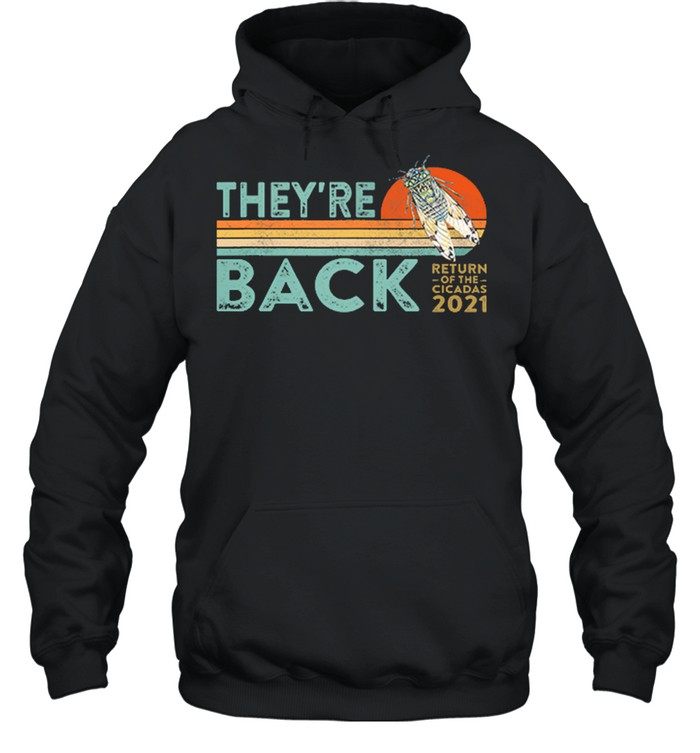 They’re Back Return Of The Cicadas 2021 Vintage Retro shirt Unisex Hoodie