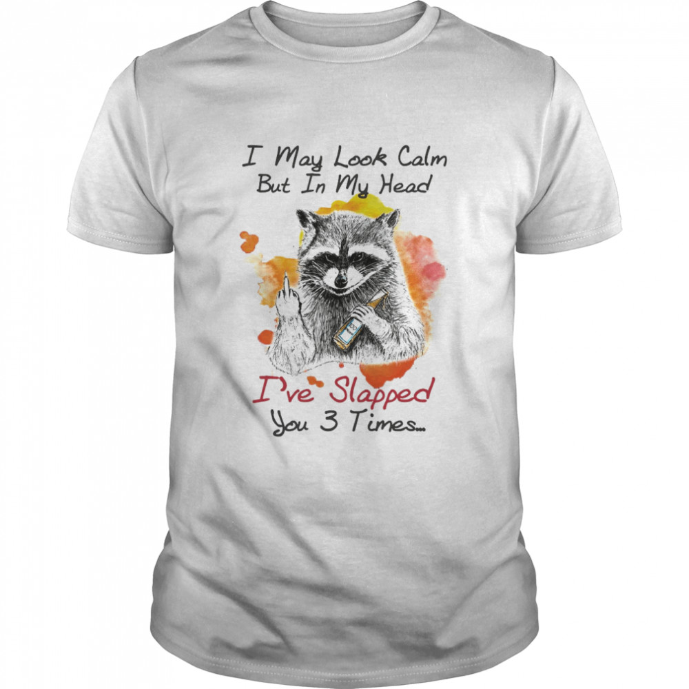 Raccoon I May Look Calm But In My Head I’ve Slapped You 3 Times T-shirt