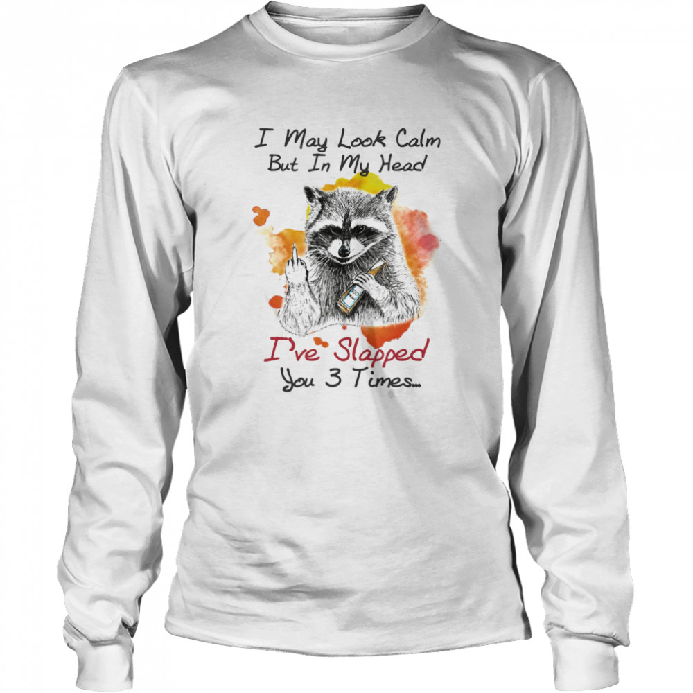 Raccoon I May Look Calm But In My Head I’ve Slapped You 3 Times T-shirt Long Sleeved T-shirt