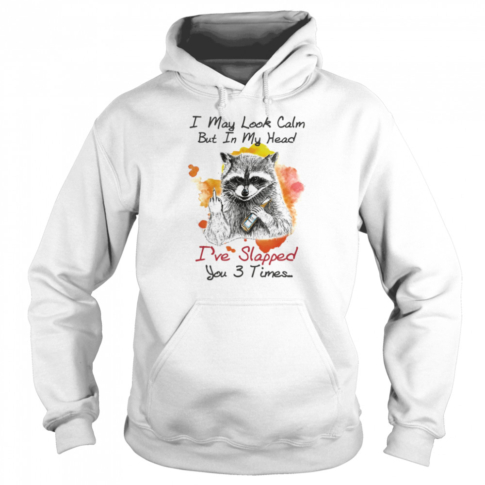 Raccoon I May Look Calm But In My Head I’ve Slapped You 3 Times T-shirt Unisex Hoodie