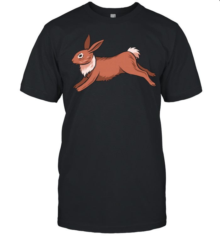 Hare Rabbit shirt