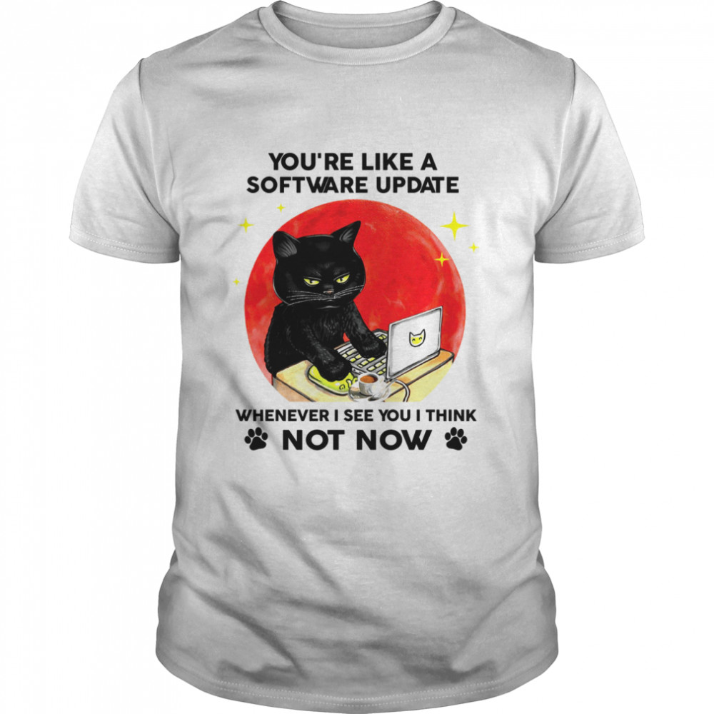 Black Cat You’re like a software update whenever i see you i think not now shirt